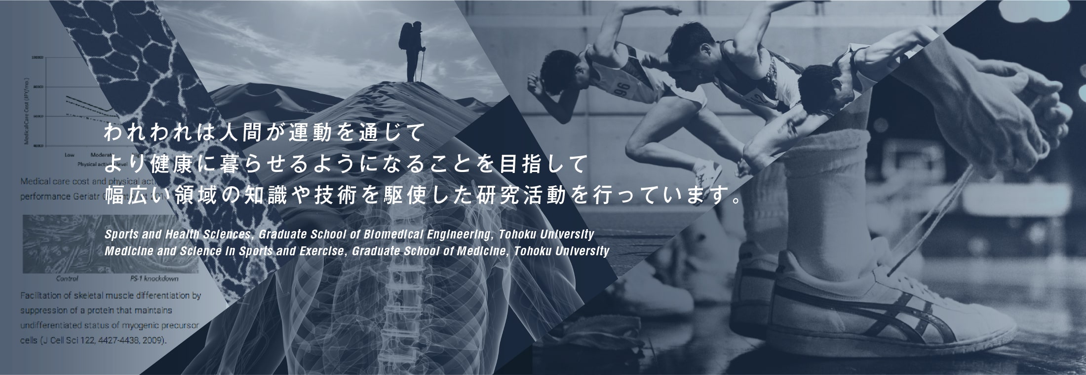 われわれは人間が運動を通じてより健康に暮らせるようになることを目指して幅広い領域の知識や技術を駆使した研究活動を行っています。